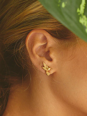 Aretes Colibrí