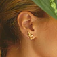 Aretes Colibrí - Miniatura 1