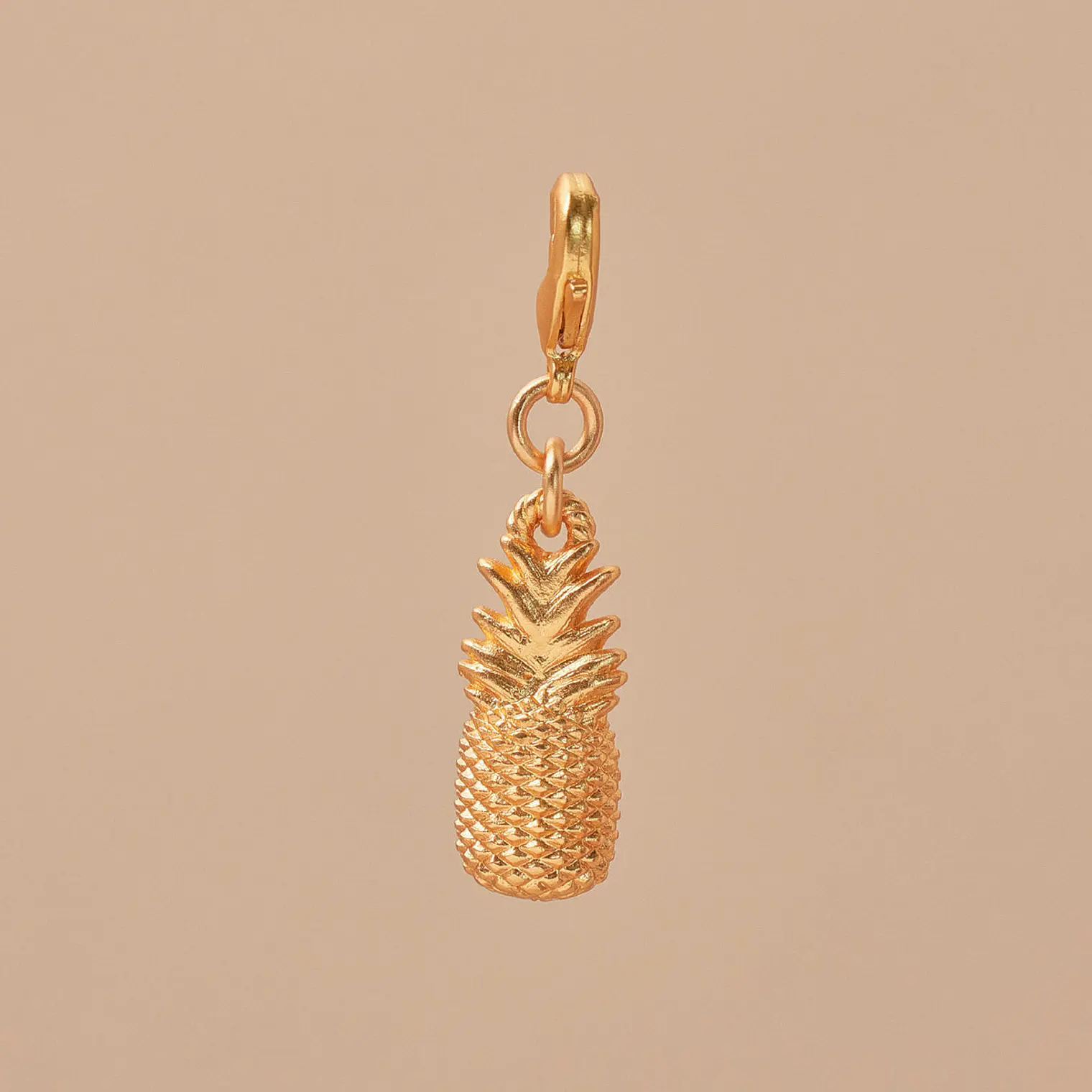 Mini Charm Piña 1