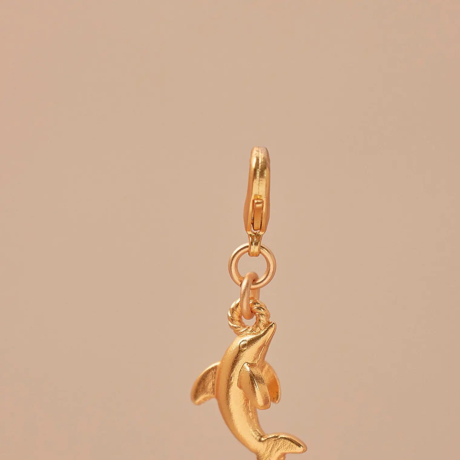 Mini Charm Delfín 1
