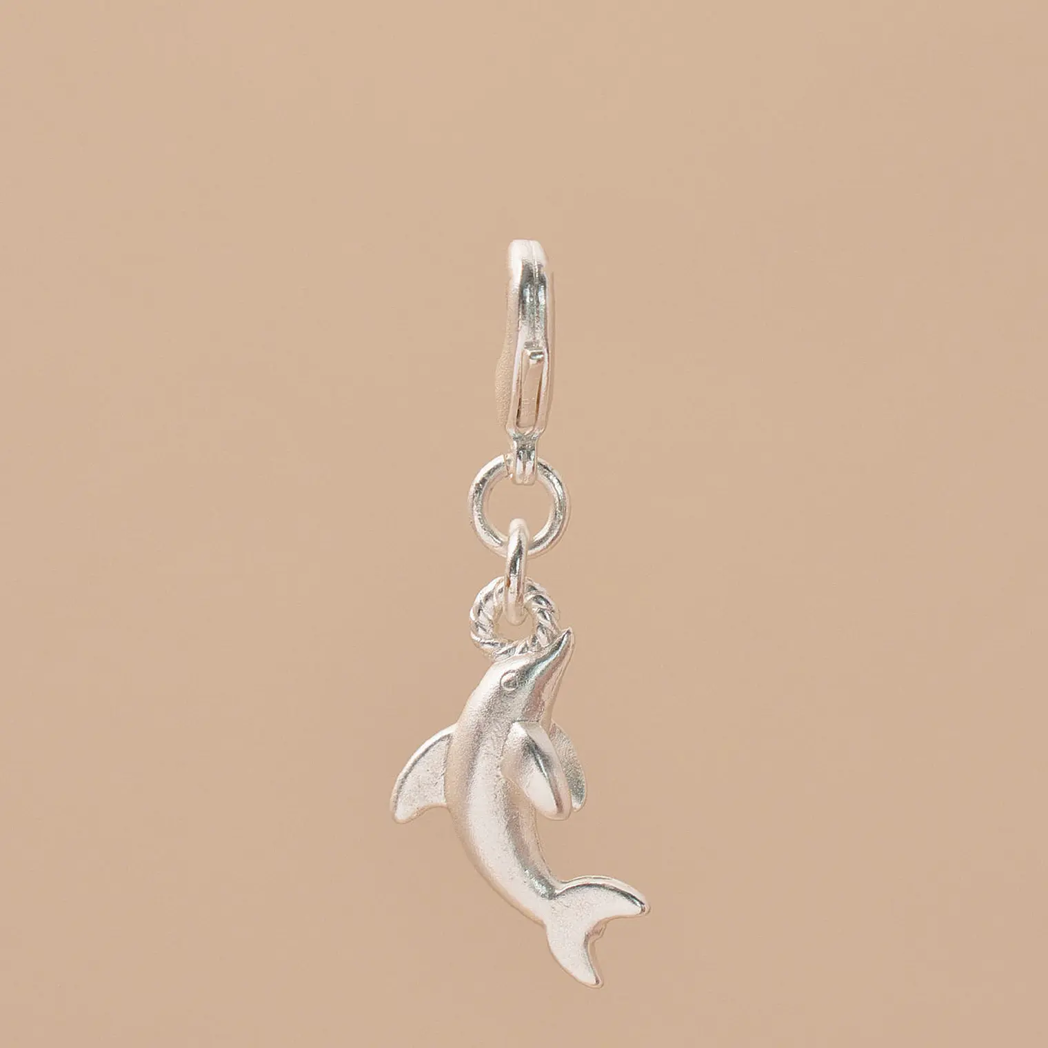 Mini Charm Delfín 2