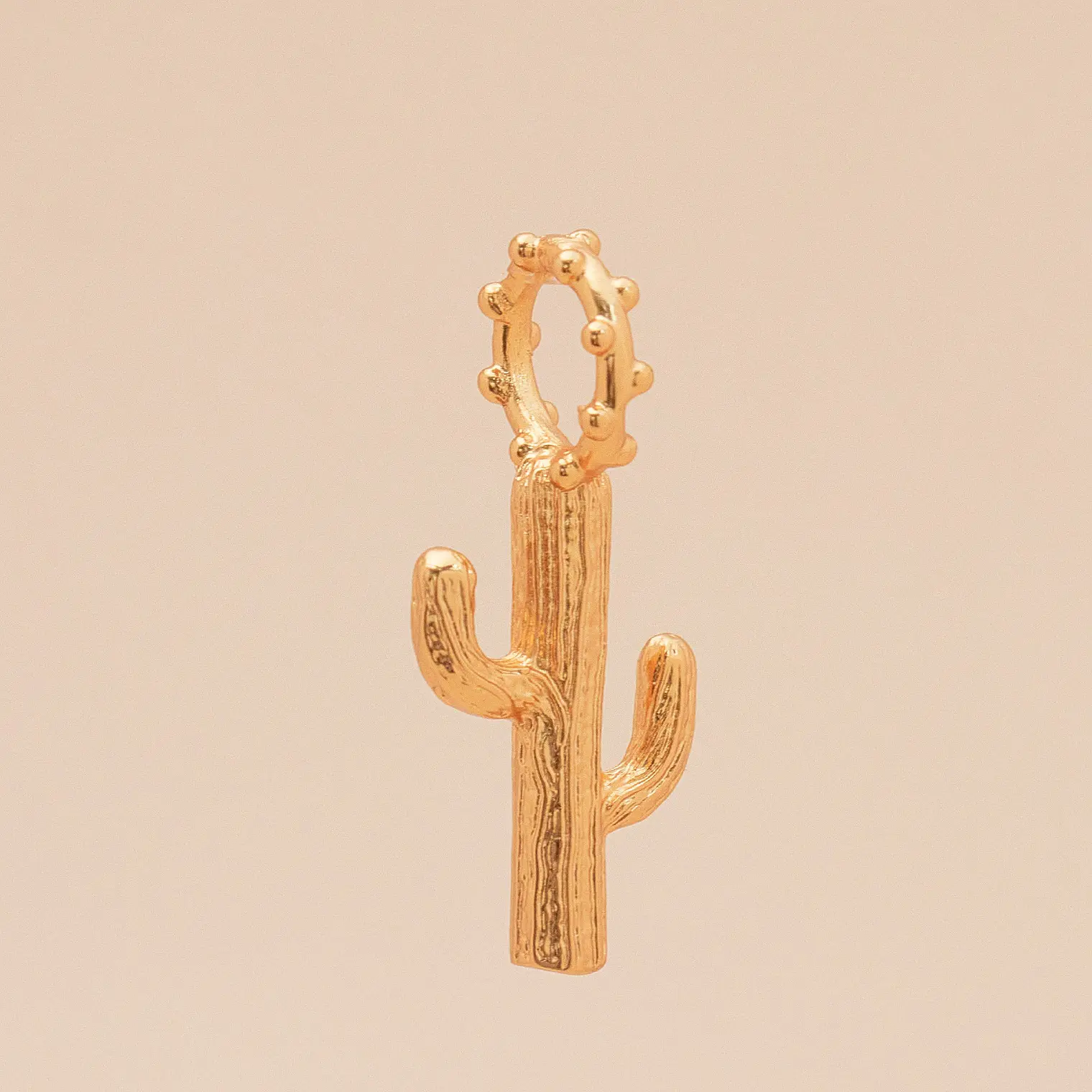 Maxi Charm Cactus 1