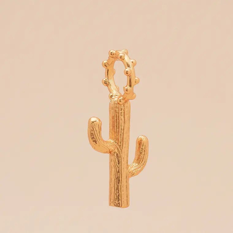 Maxi Charm Cactus 1