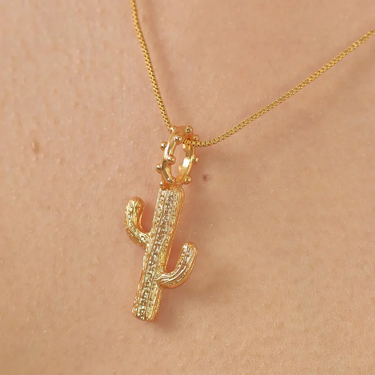 Maxi Charm Cactus 2