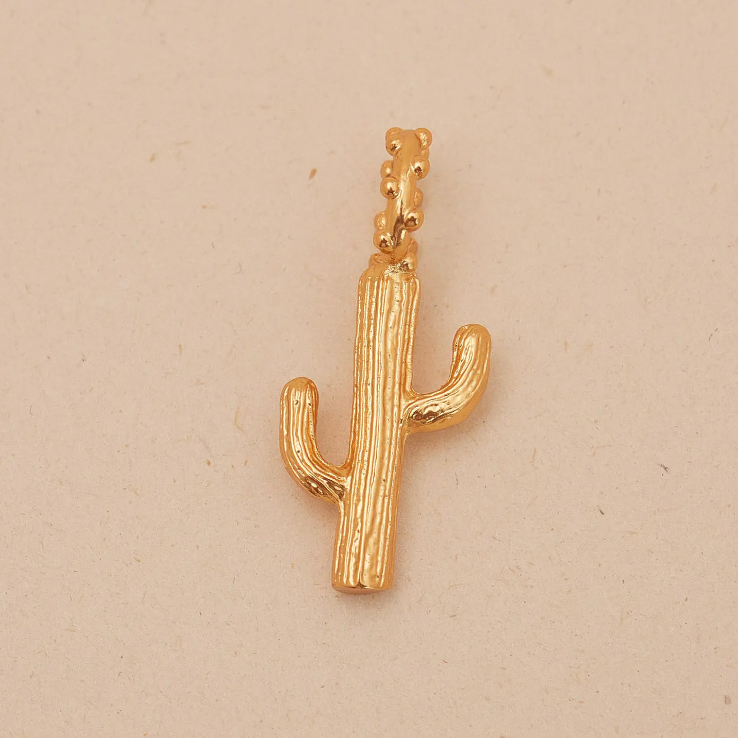 Maxi Charm Cactus 3