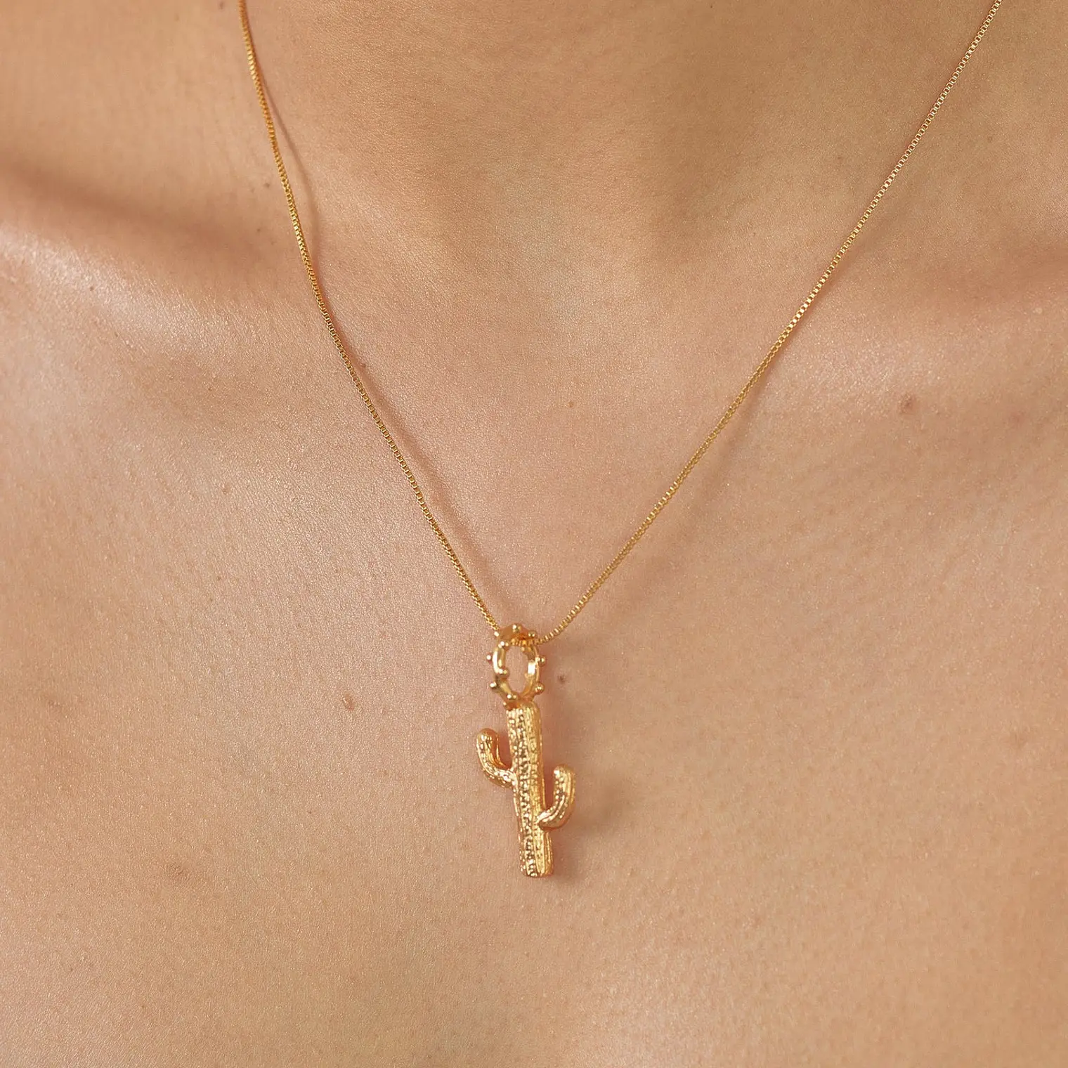 Maxi Charm Cactus 4