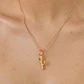 Maxi Charm Cactus - Miniatura 4