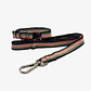 Pack Dog Collar + Correa - Miniatura 1