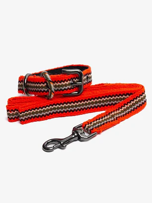 Pack Dog Collar + Correa