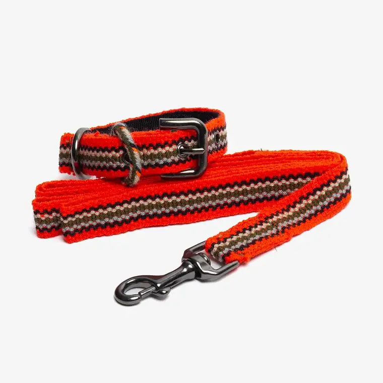 Pack Dog Collar + Correa 1