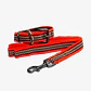 Pack Dog Collar + Correa - Miniatura 1