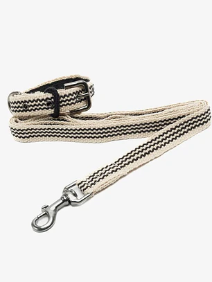 Pack Dog Collar + Correa