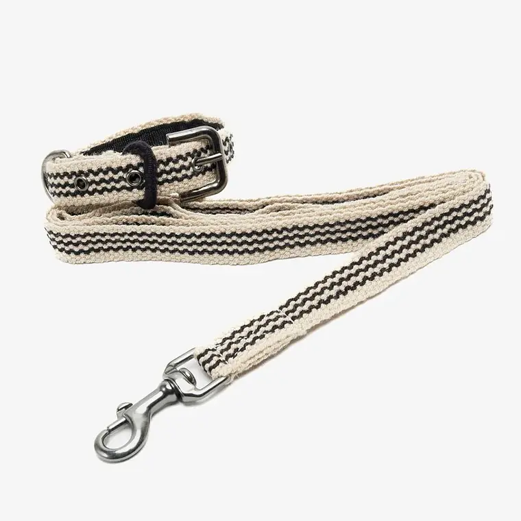 Pack Dog Collar + Correa 1