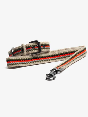 Pack Dog Collar + Correa