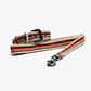 Pack Dog Collar + Correa - Miniatura 1