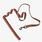 Pack Dog Collar + Correa - Miniatura 2
