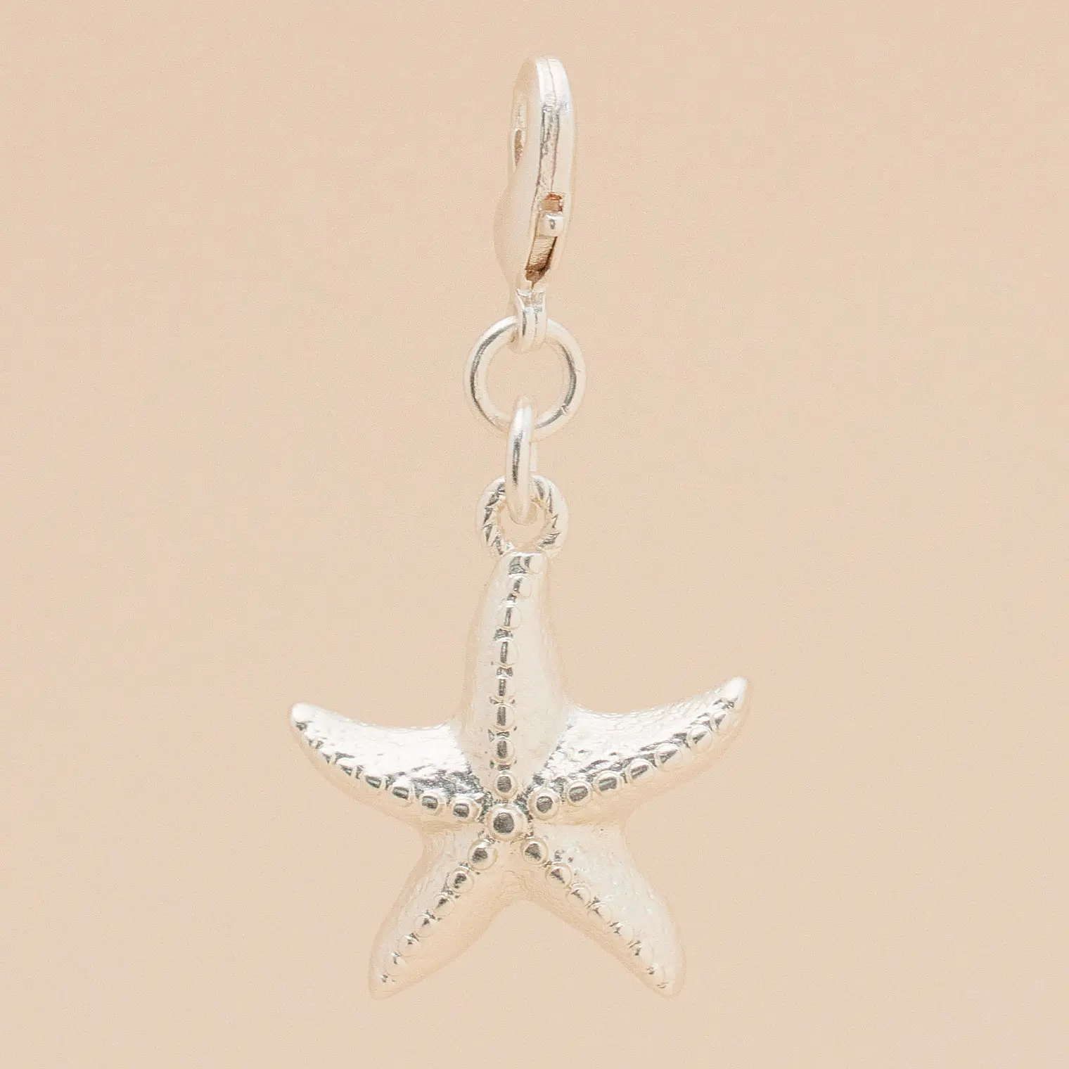 Mini Charm Estrella de Mar 2