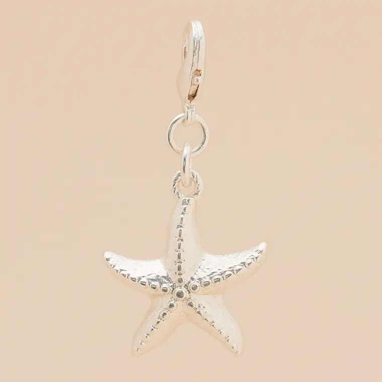 Mini Charm Estrella de Mar 2