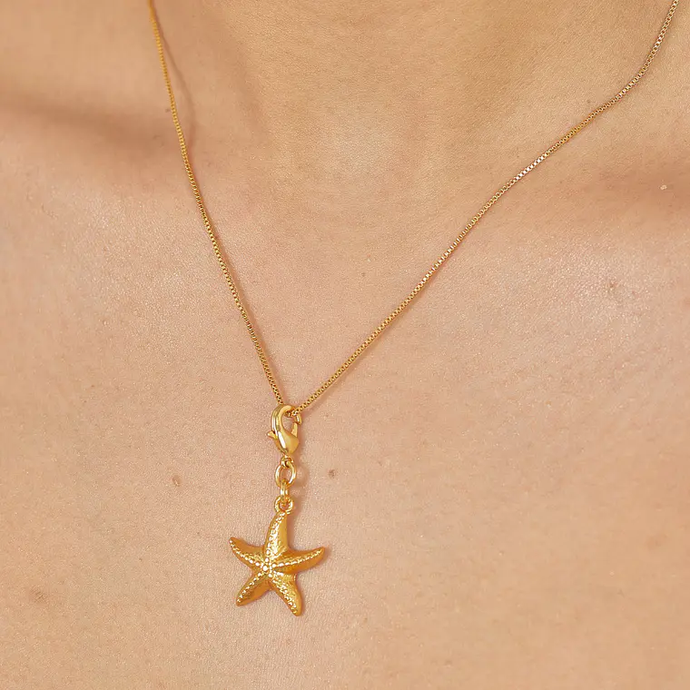 Mini Charm Estrella de Mar 4