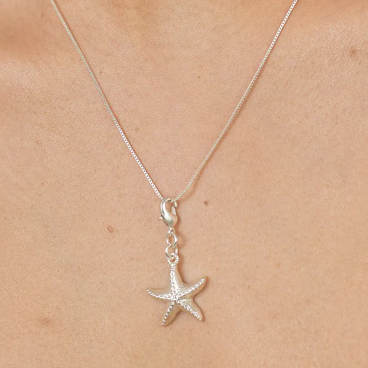 Mini Charm Estrella de Mar 5