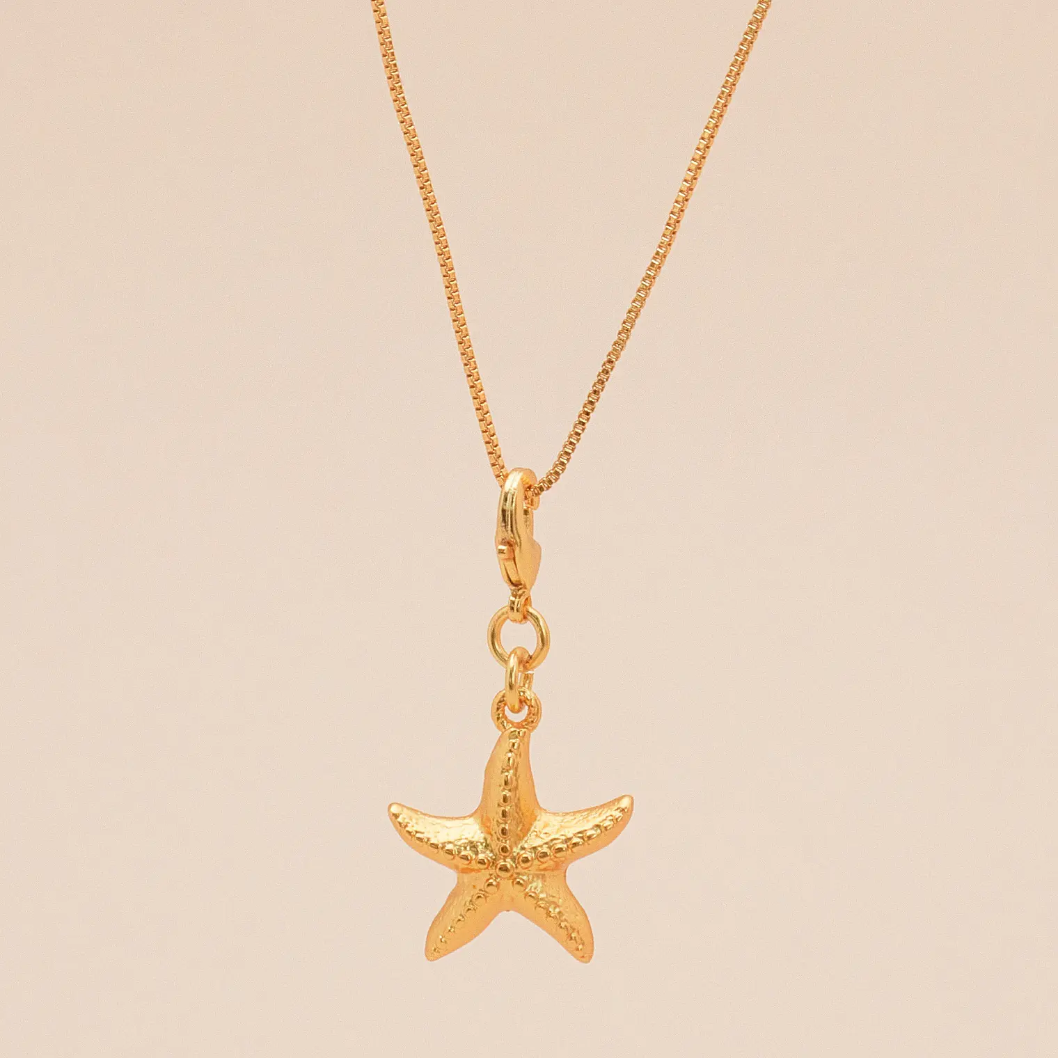 Mini Charm Estrella de Mar 6