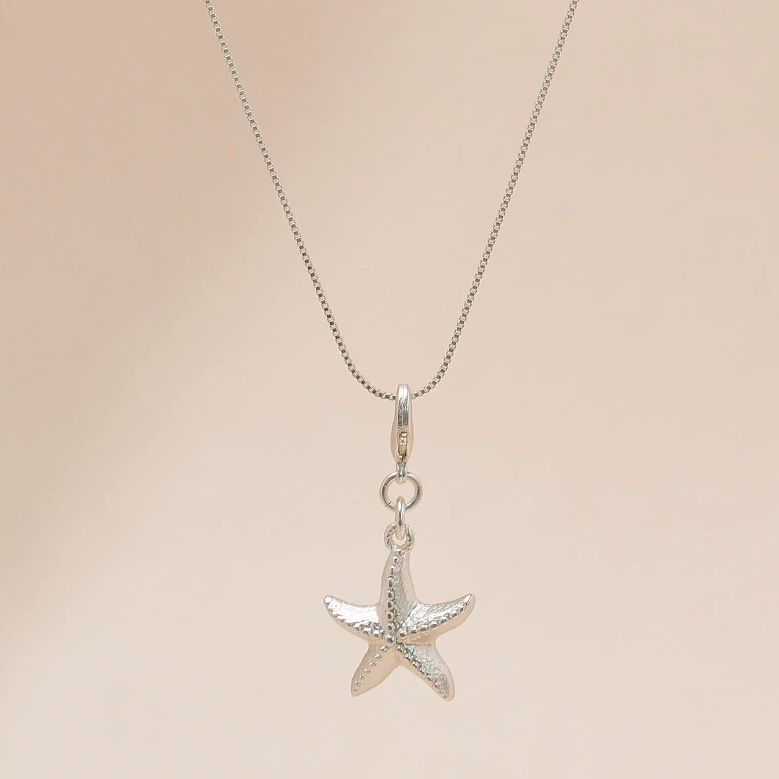Mini Charm Estrella de Mar 7