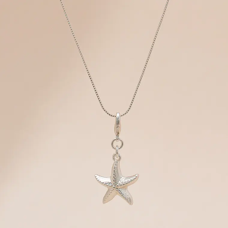 Mini Charm Estrella de Mar 7
