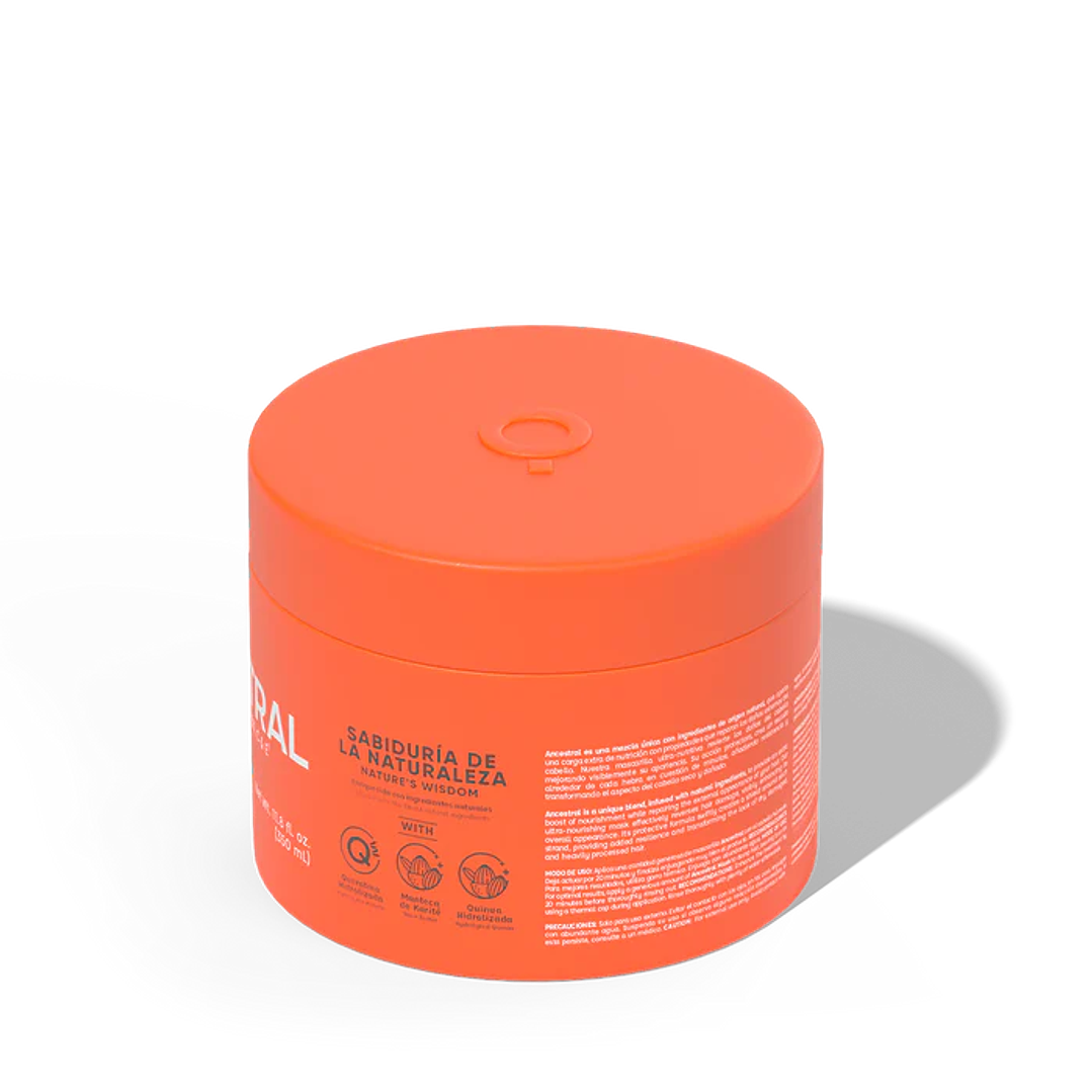 Ancestral Mascarilla de Reparación 2