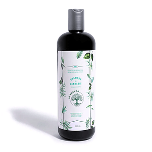 Shampoo de Argán Para Cabello Seco La Receta 500 ML