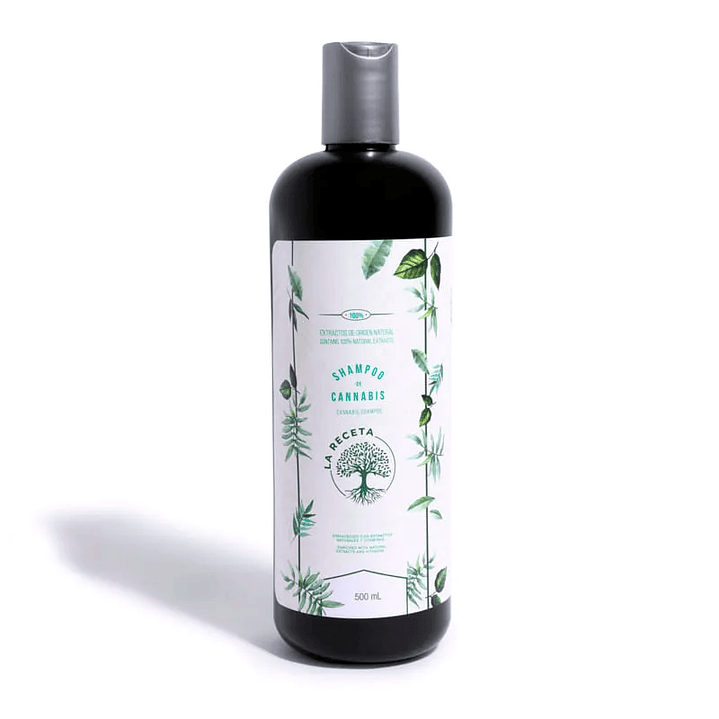 Shampoo de Argán Para Cabello Seco La Receta 500 ML 1