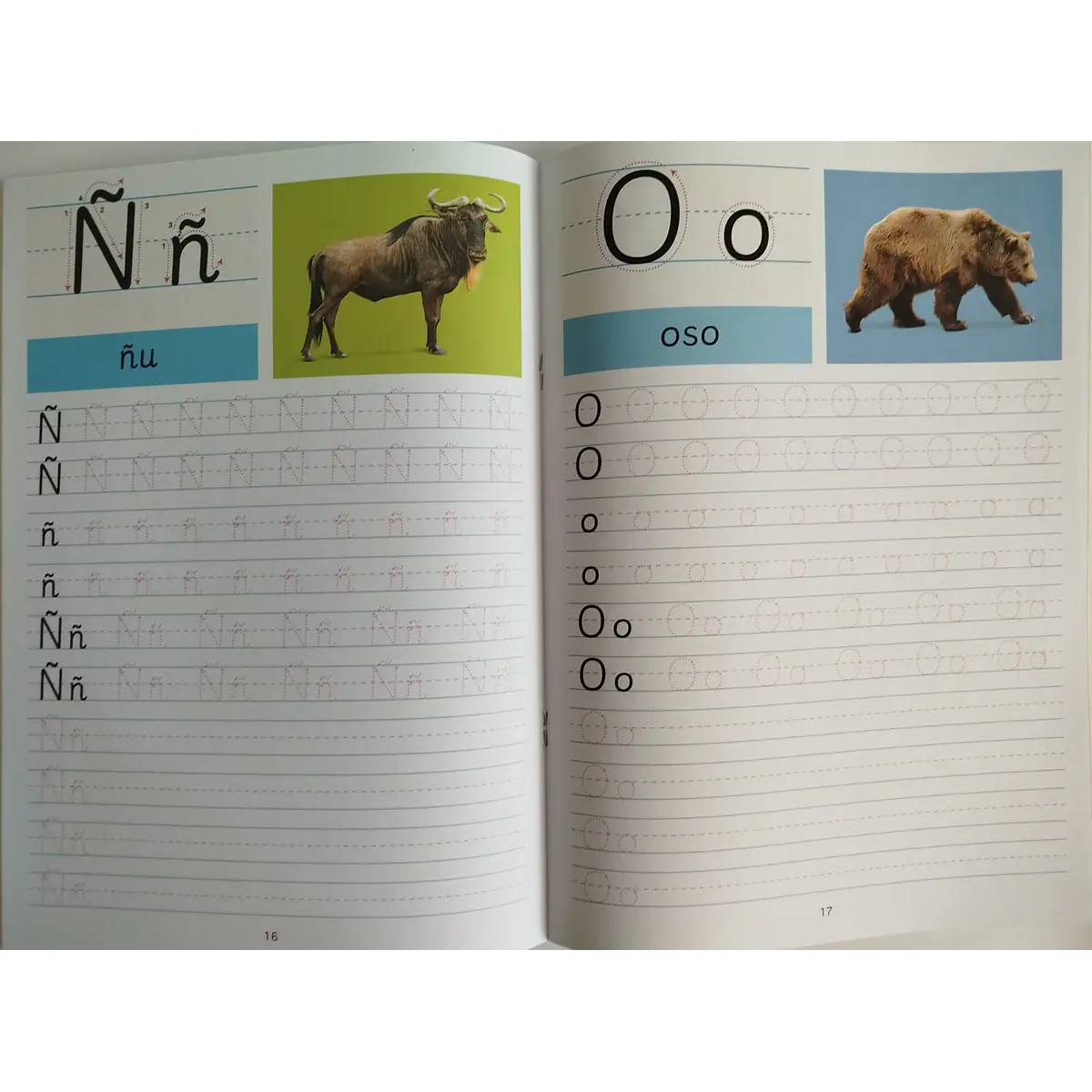Libro de trazos (Letras)