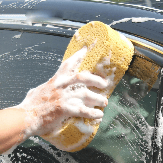 Esponja Grande Lavado De Auto Limpieza