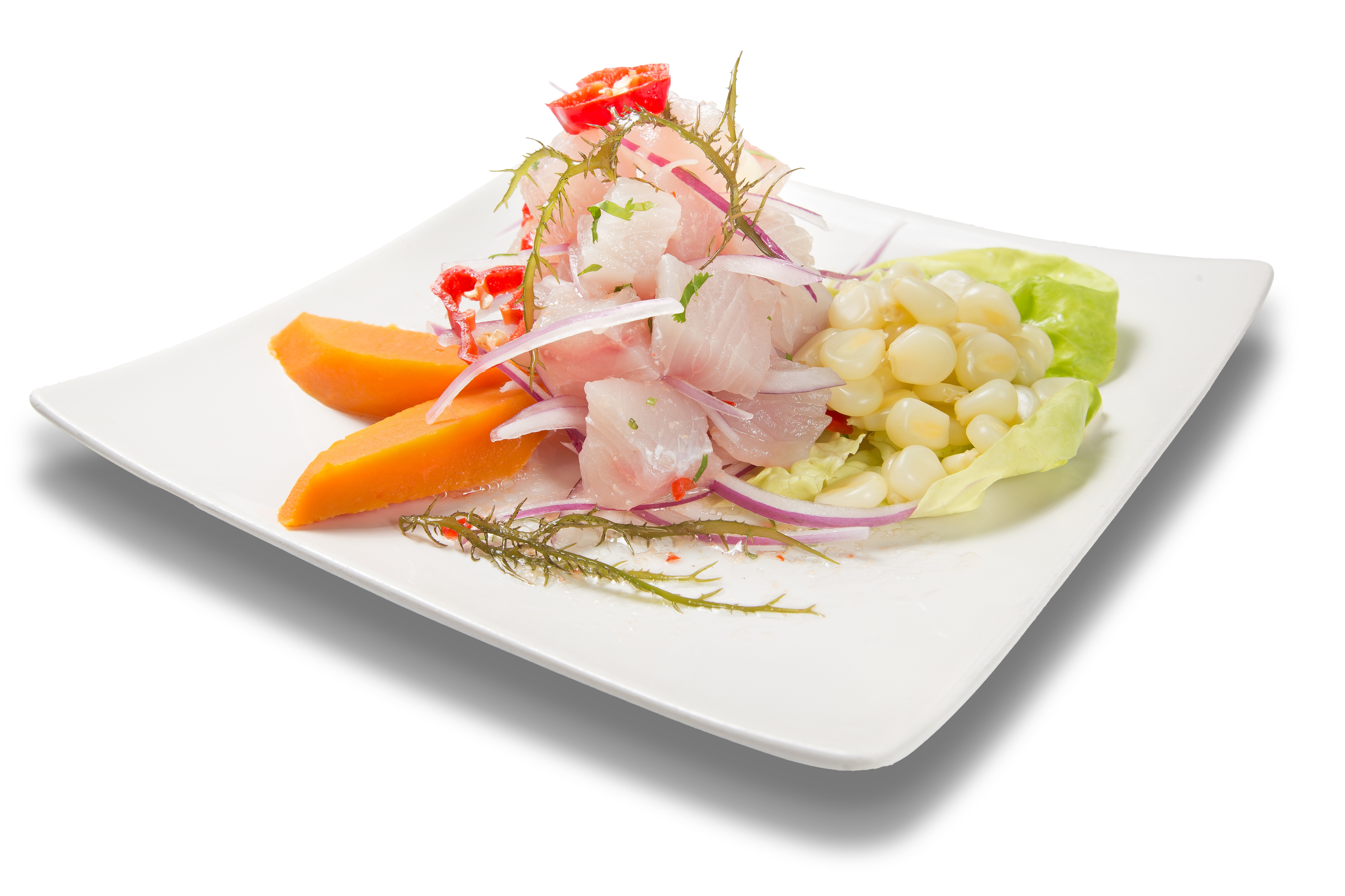 Fish Ceviche 1