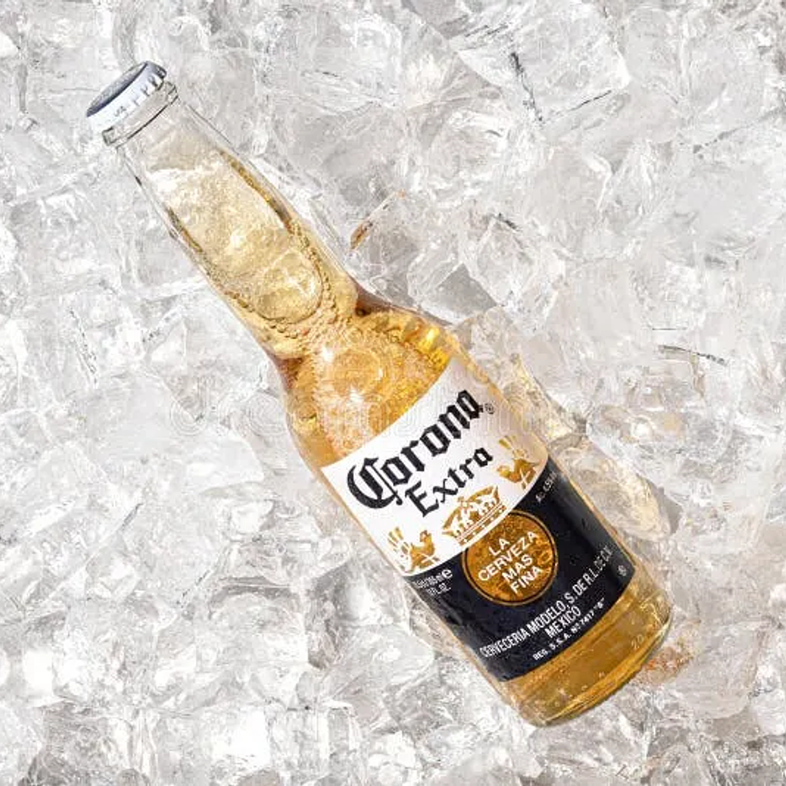 Cerveza Corona 1