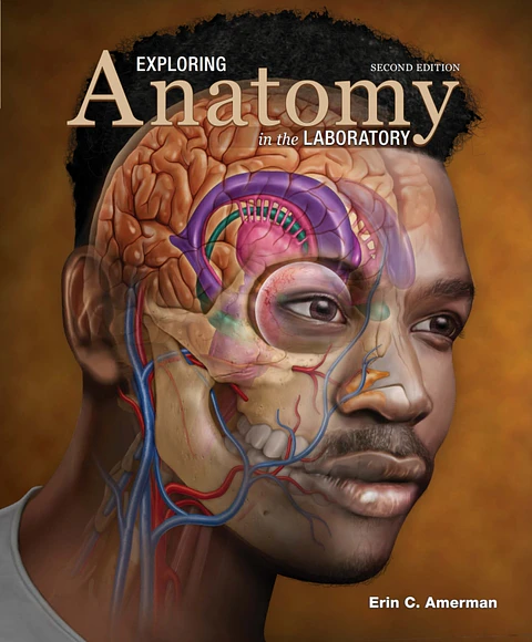  Exploring Anatomy in the Laboratory 2nd Edition 