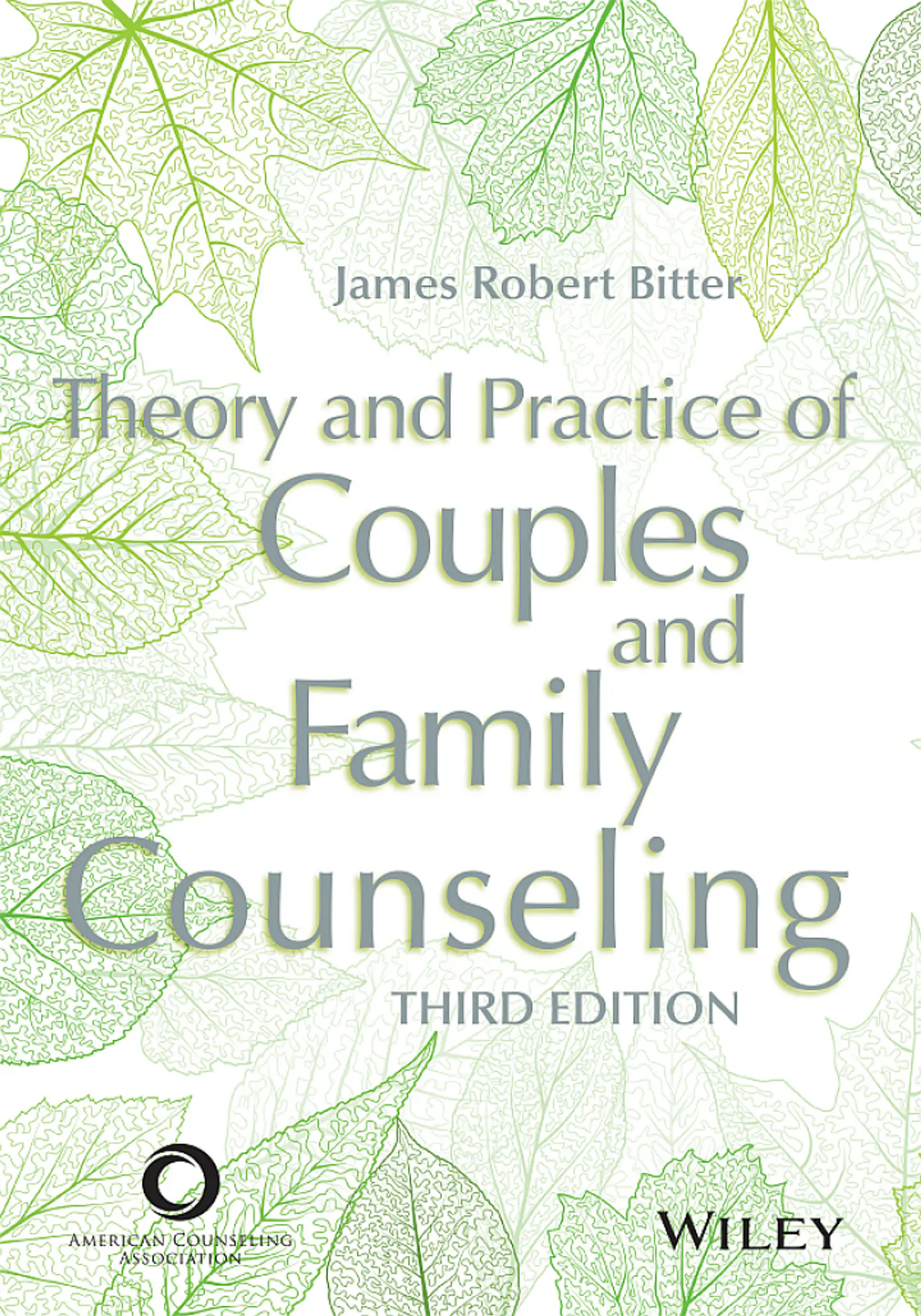 Theory and Practice of Couples and Family Counseling 3rd Edition 1