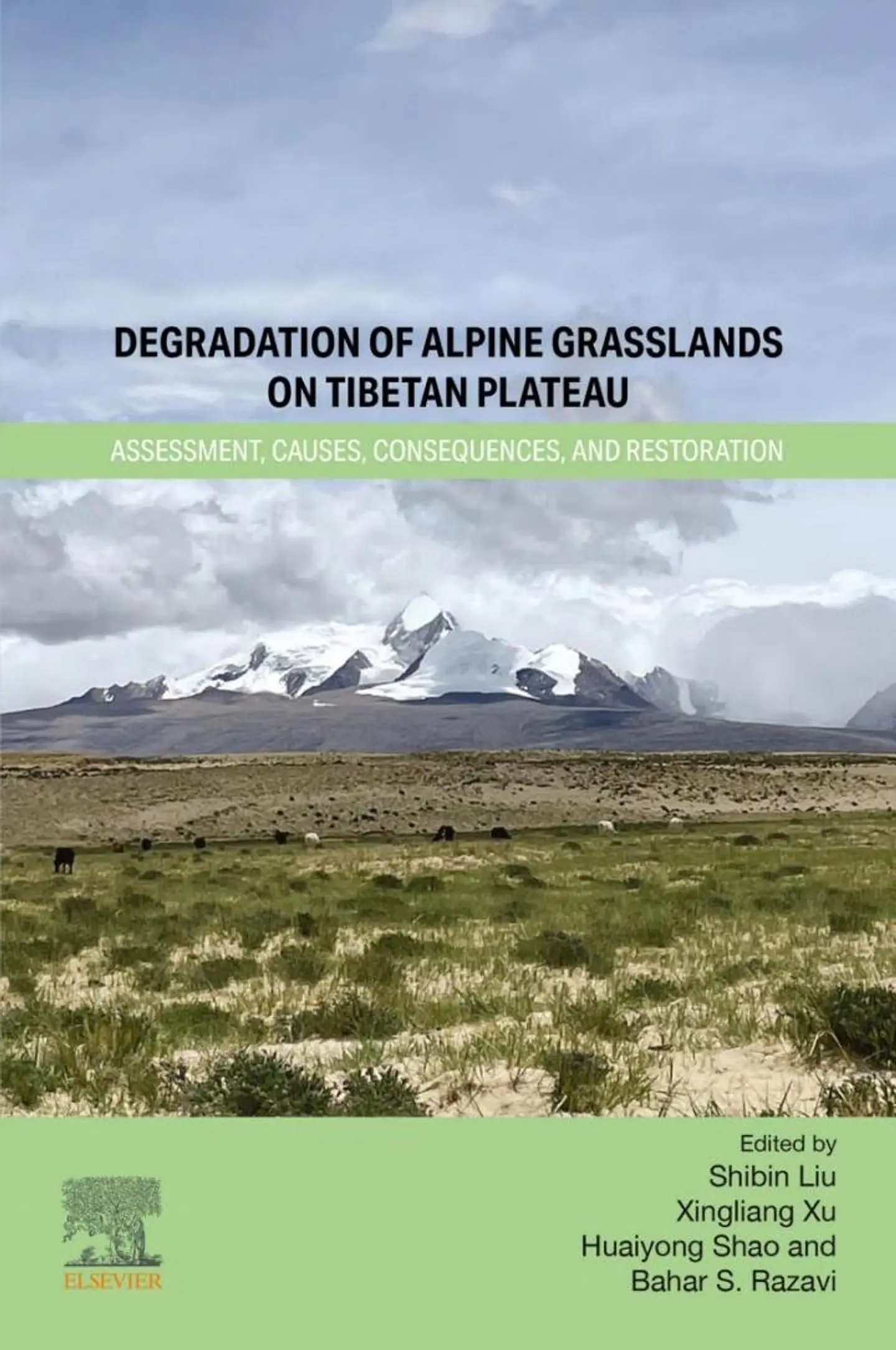 Degradation of Alpine Grasslands on Tibetan Plateau: Assessment, Causes, Consequences, and Restoration 1