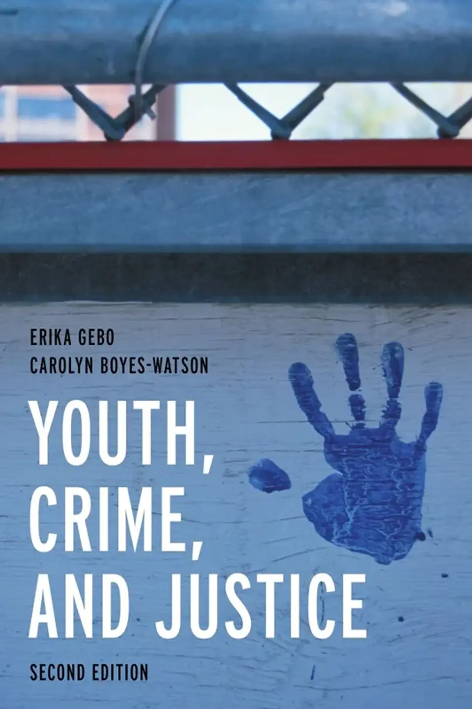 Youth, Crime, and Justice: Learning through Cases 1