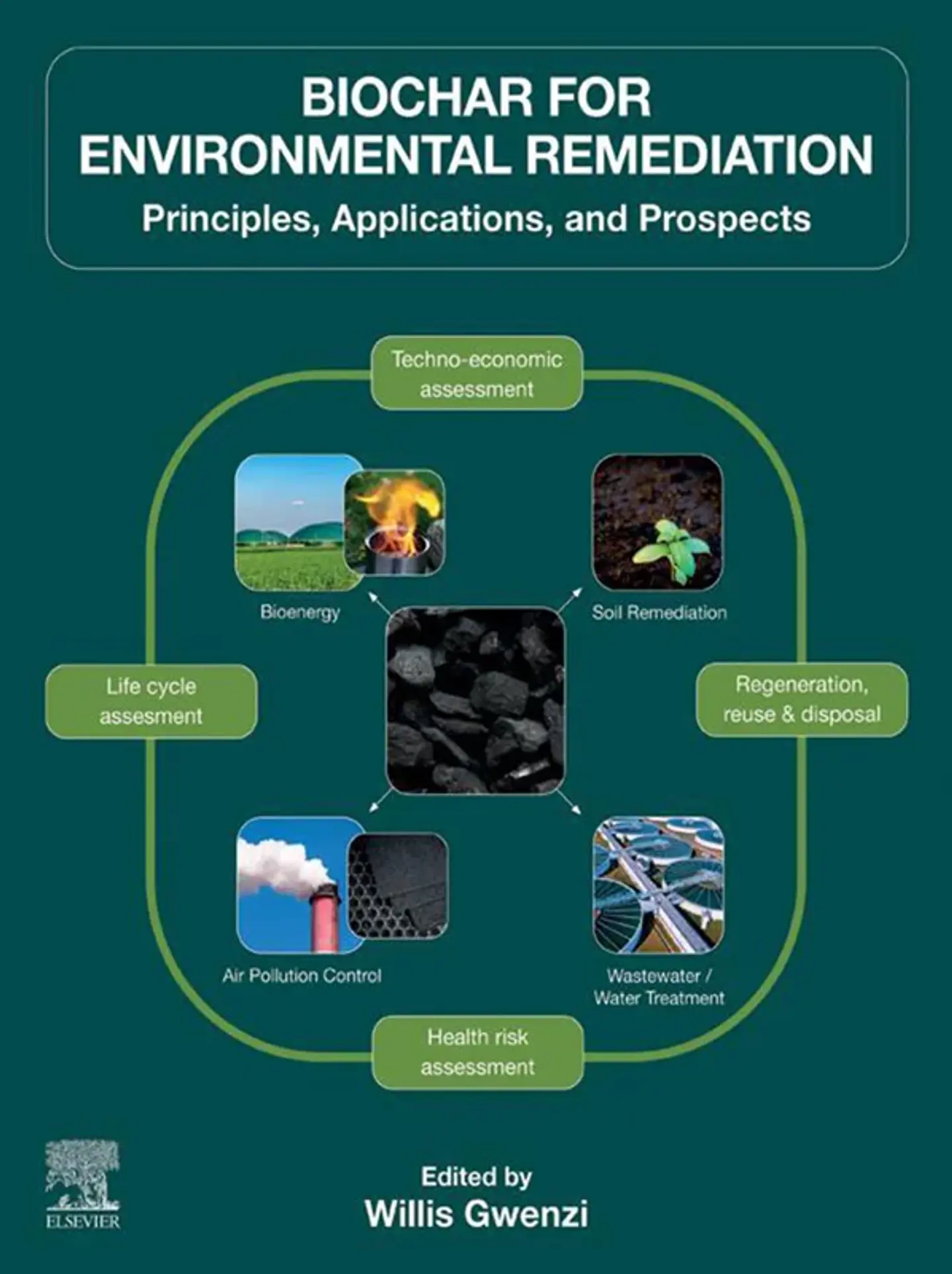 Biochar for Environmental Remediation: Principles, Applications, and Prospects 1