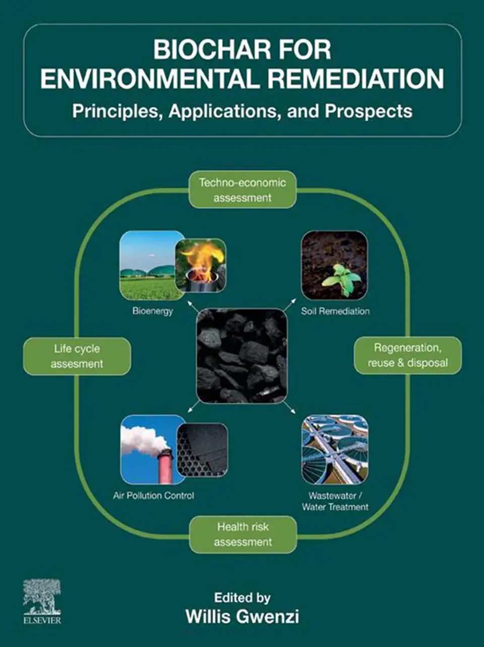 Biochar for Environmental Remediation: Principles, Applications, and Prospects 1