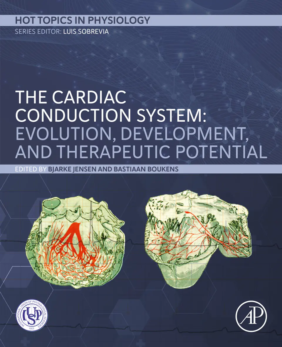 The Cardiac Conduction System: Evolution, Development, and Therapeutic Potential (Hot Topics in Physiology) 1