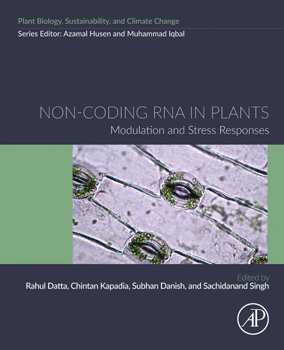 Non-coding RNA in Plants: Modulation and Stress Responses 1