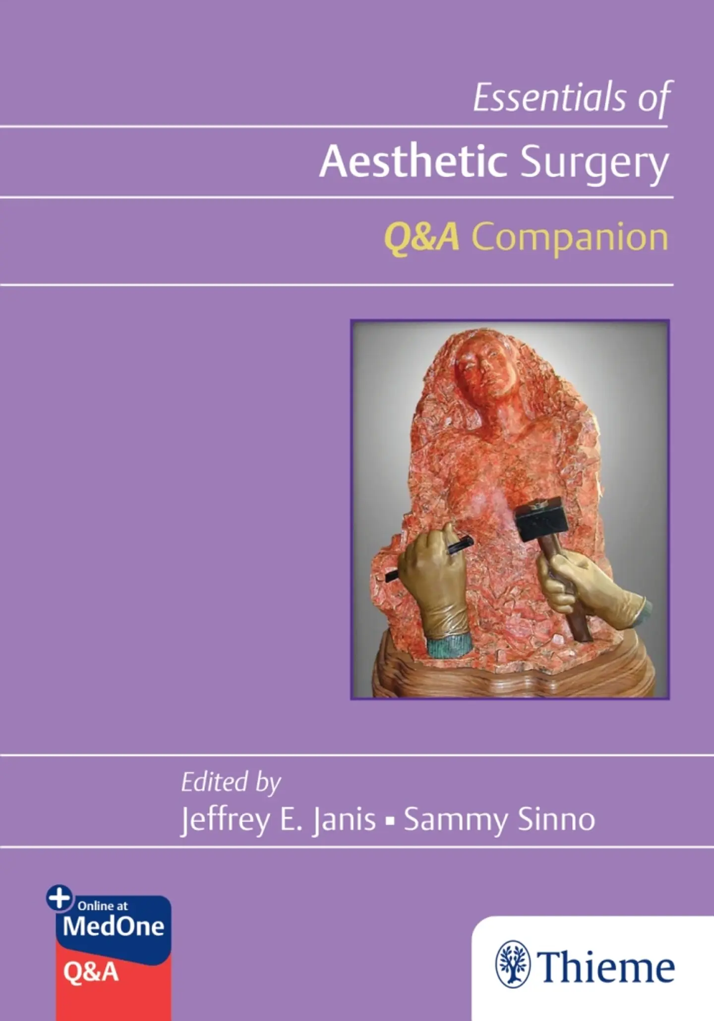Essentials of Aesthetic Surgery Q&A Companion 1