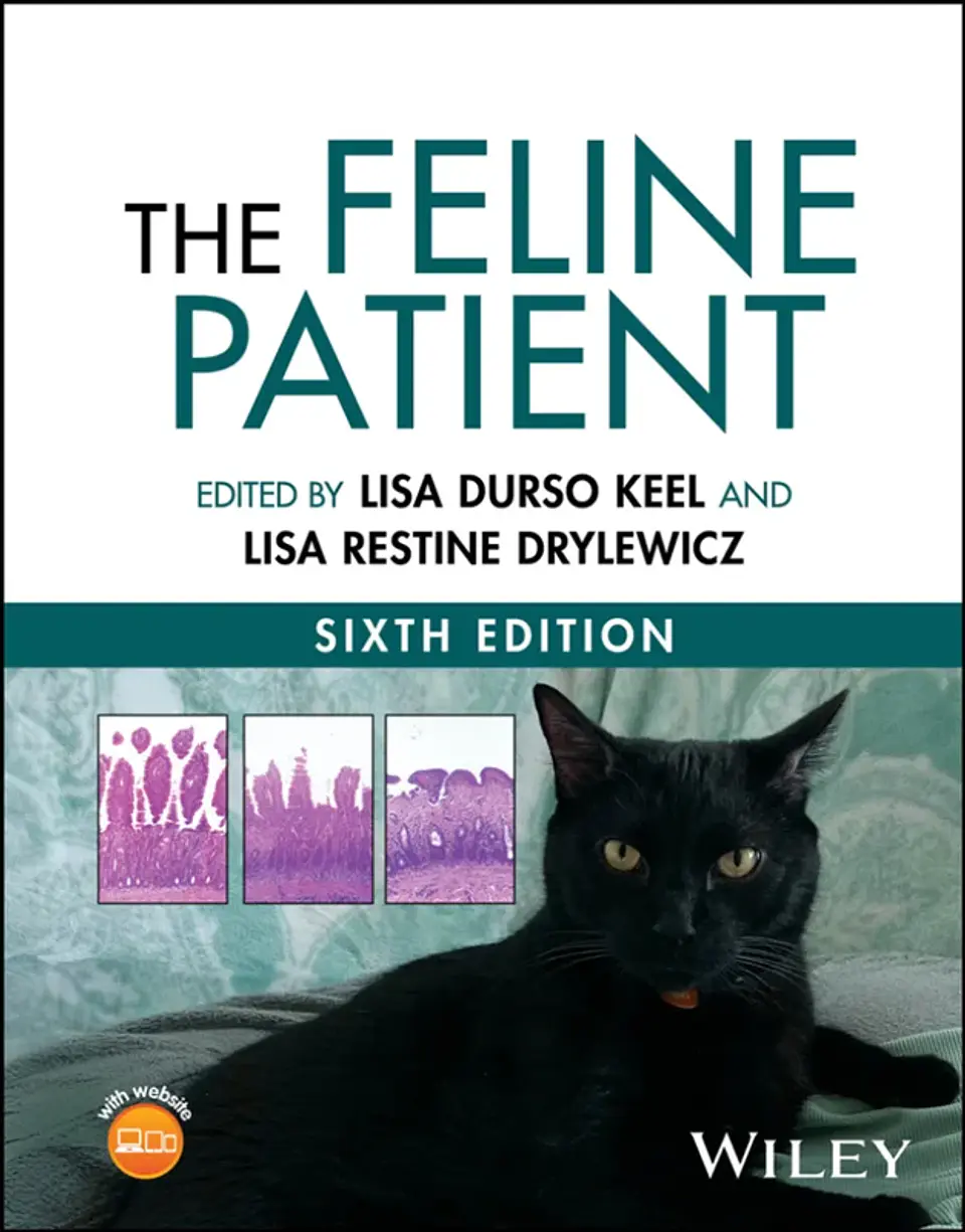 The Feline Patient 6th Edition 1