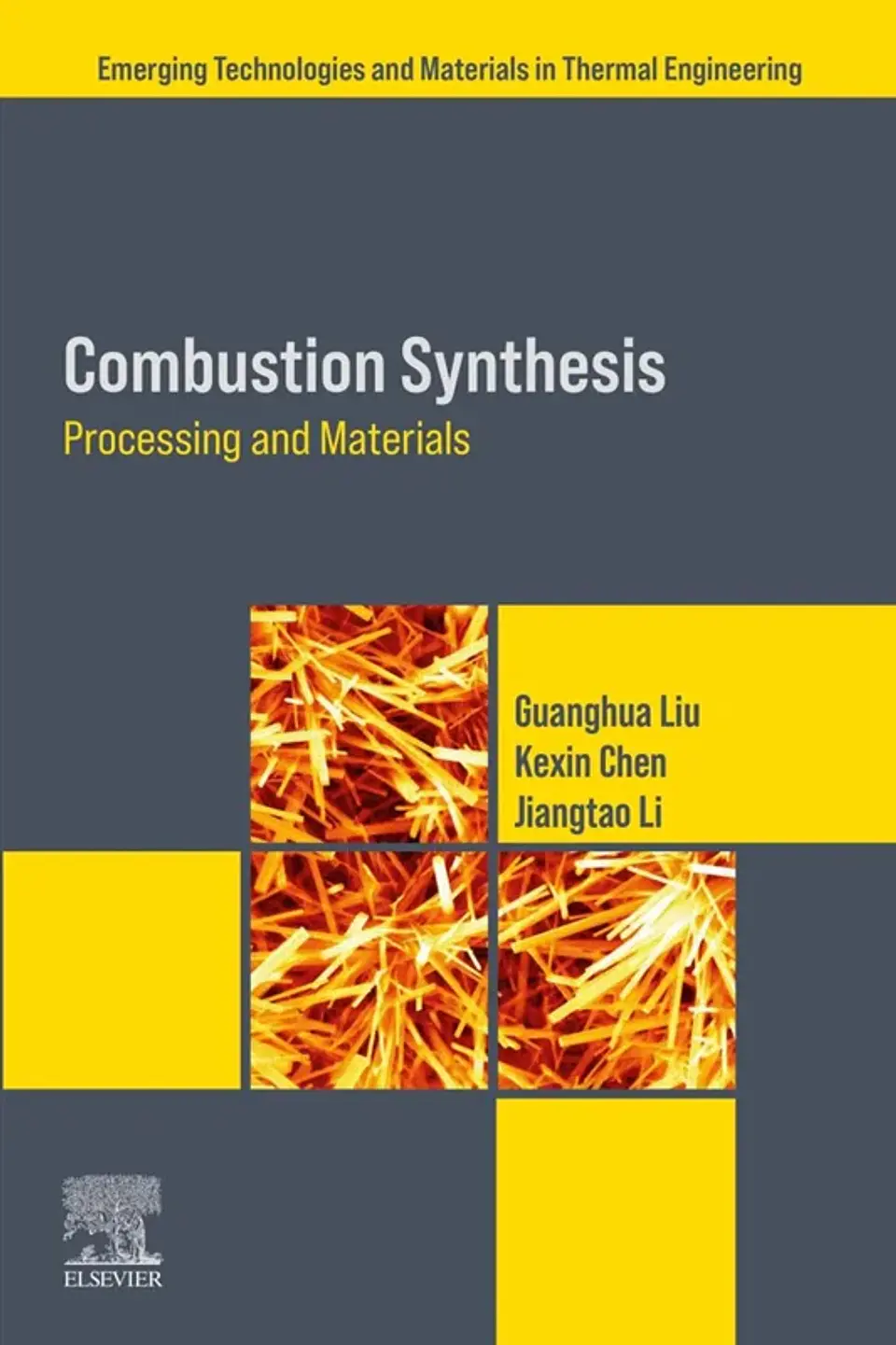 Combustion Synthesis: Processing and Materials 1