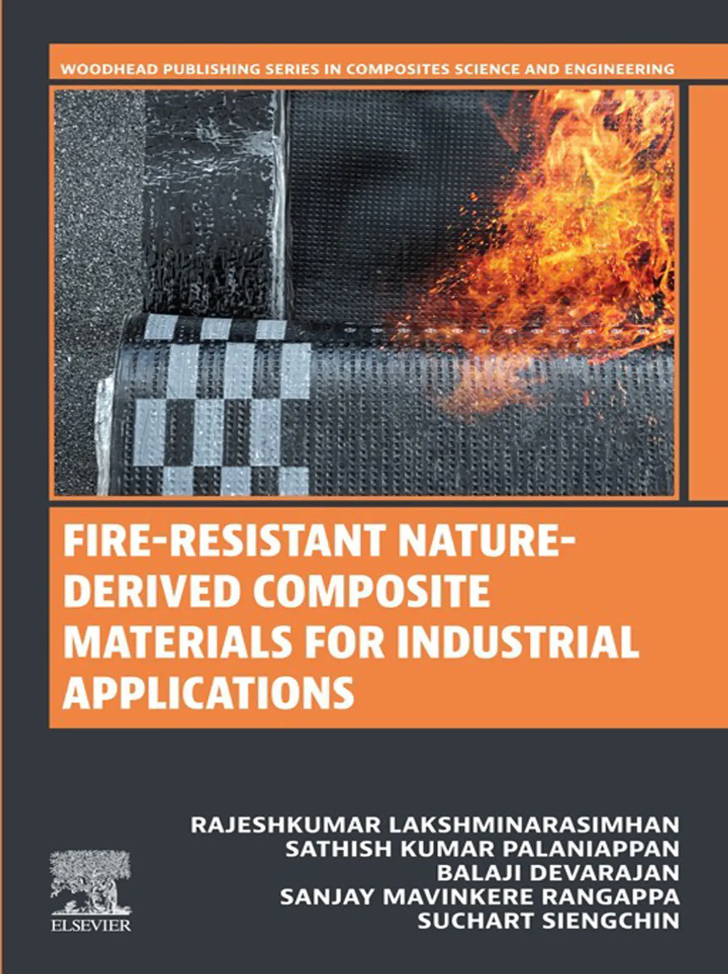 Fire-Resistant Nature-Derived Composite Materials for Industrial Applications 1