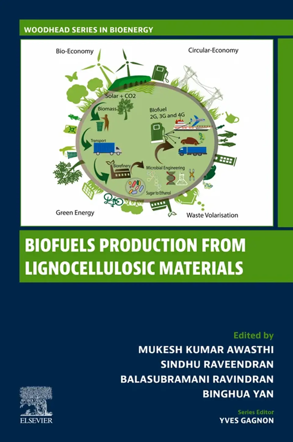 Biofuels Production from Lignocellulosic Materials 1