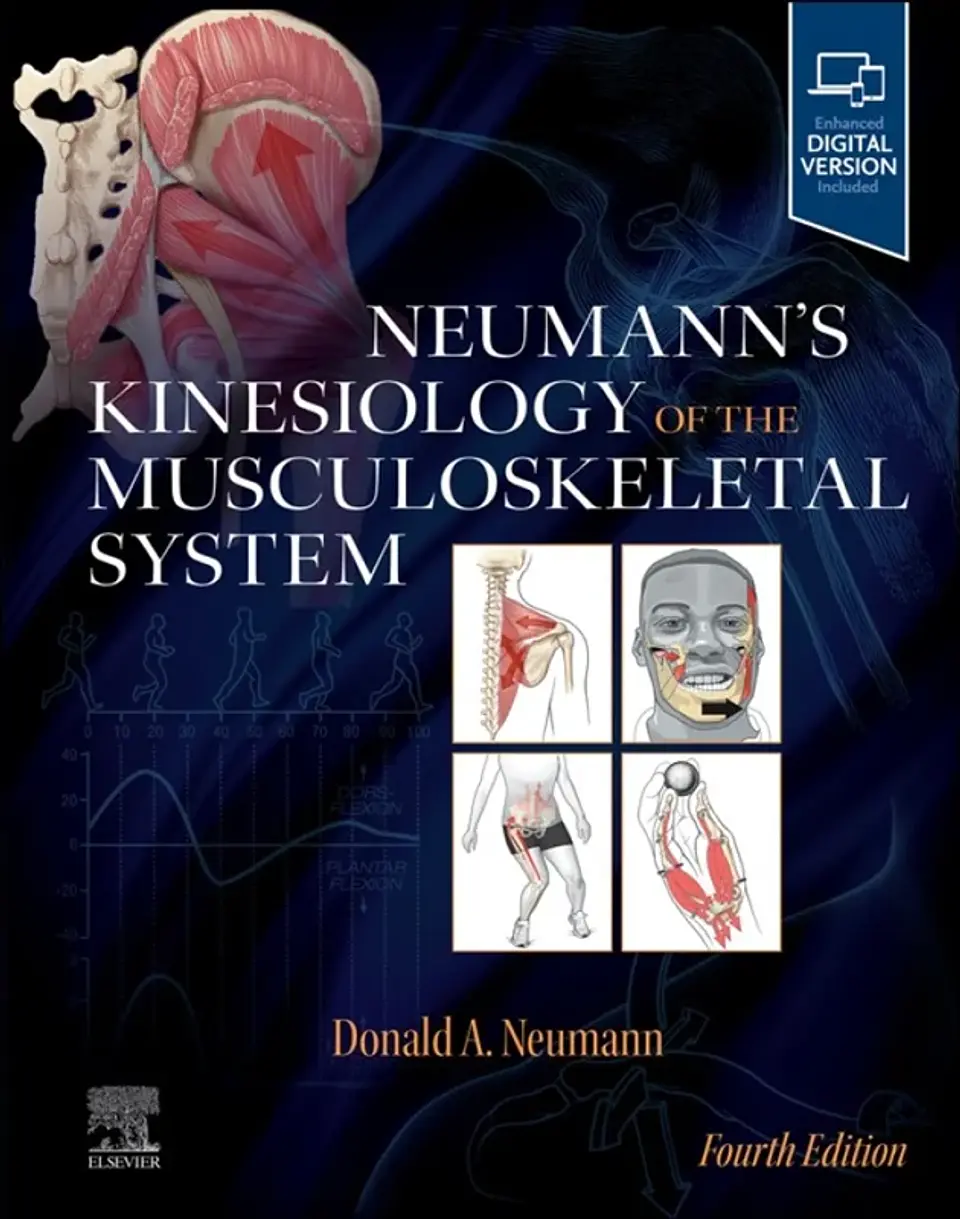  Neumann’s Kinesiology of the Musculoskeletal System 4th Edition  1