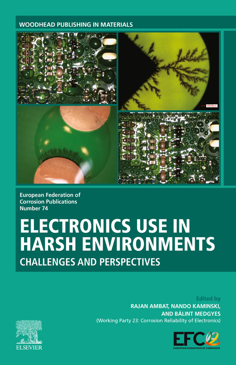 Electronics Use in Harsh Environments: Challenges and Perspectives 1
