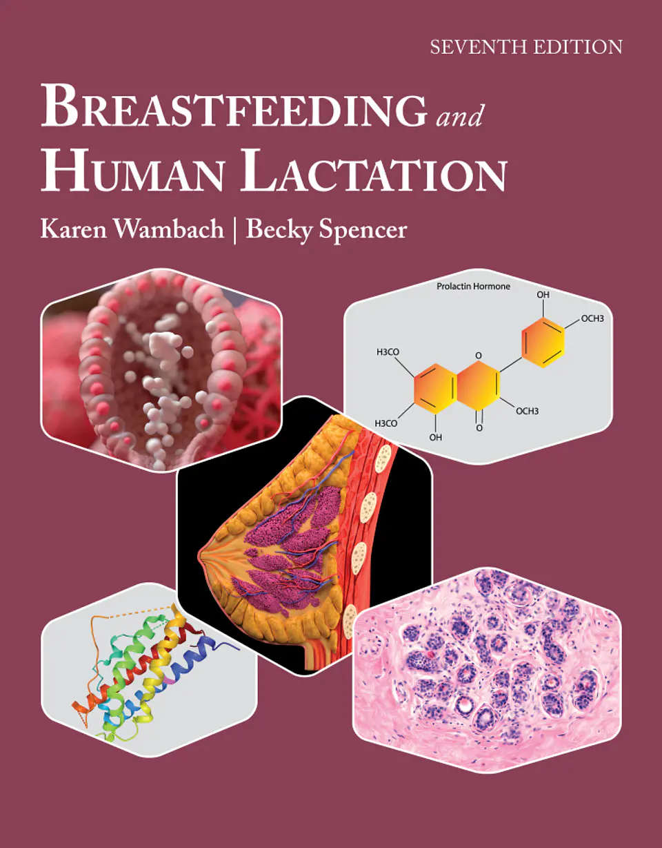 Breastfeeding and Human Lactation 7th Edition  1